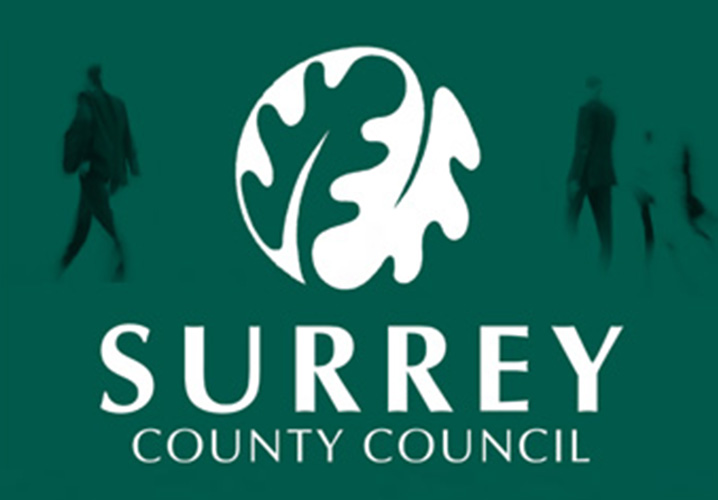 Surrey County Councillors