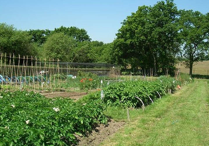 Allotments