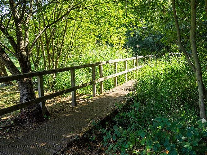 School Lane Field