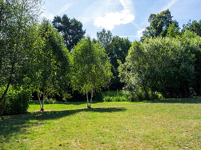 School Lane Field