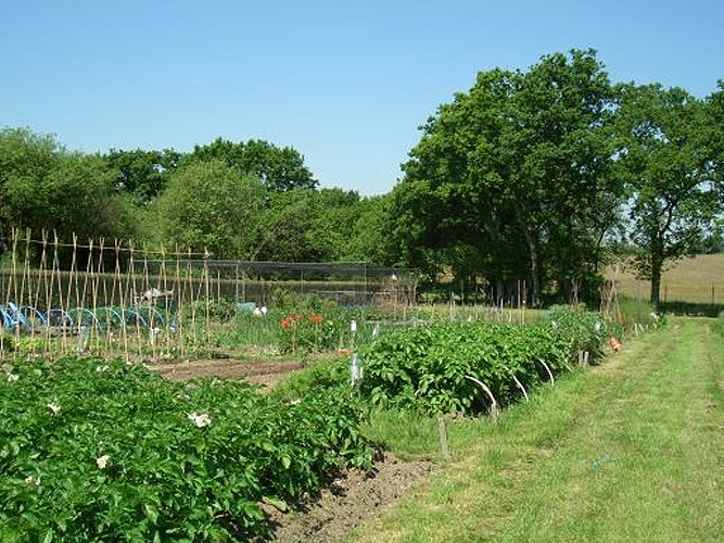 Hook Mill Lane Allotment