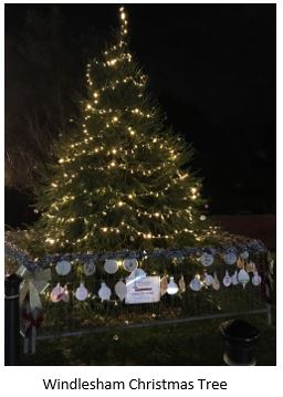 Windlesham Tree 2019