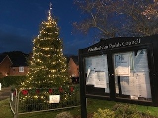 Christmas Trees