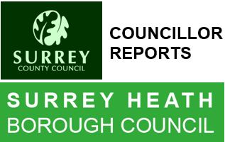 Local Authority Reports
