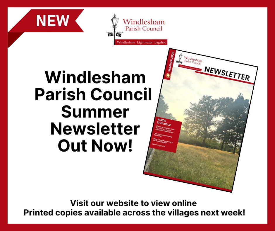 Summer Newsletter Out Now!