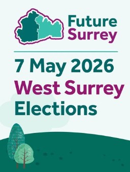 West Surrey Elections Information