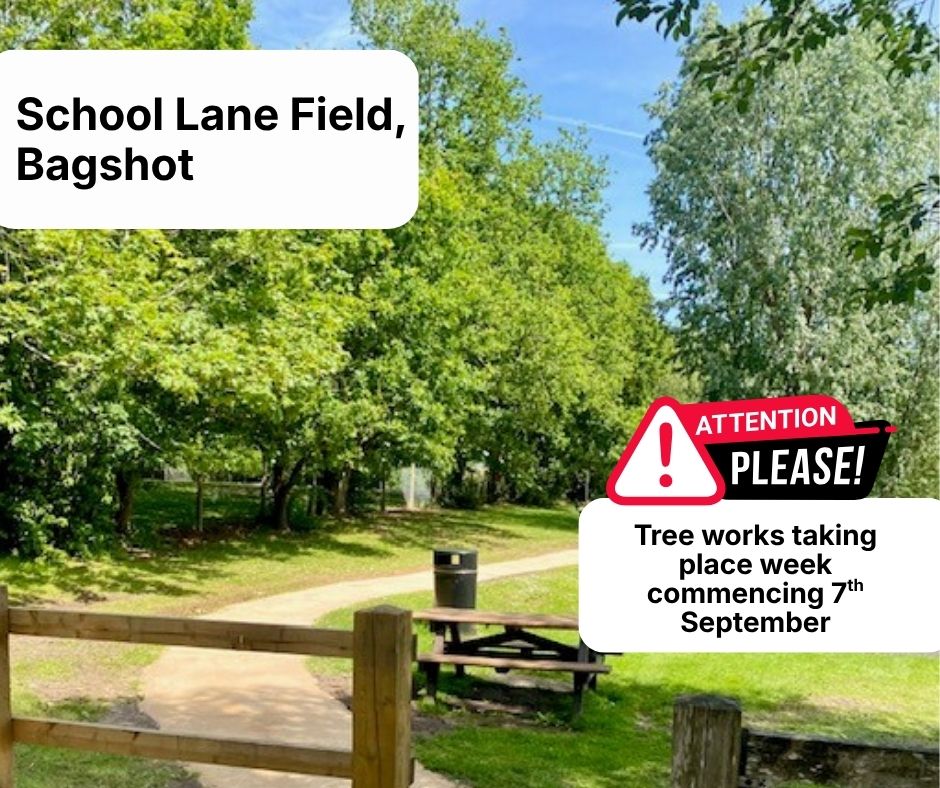 Tree works at School Lane Field starting Monday 7th September 