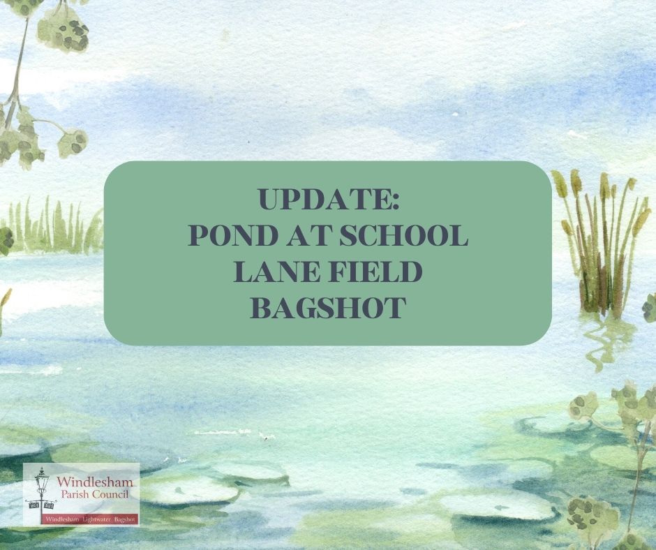 School Lane Field Pond – Update